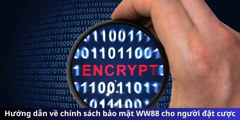 chính sách bảo mật ww88